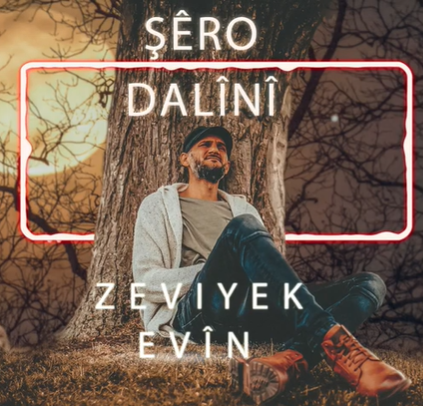 Şero Dalini Zeviyek Evin (2020)