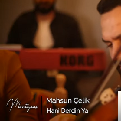 Mahsun Çelik Hani Derdin Ya (2019)