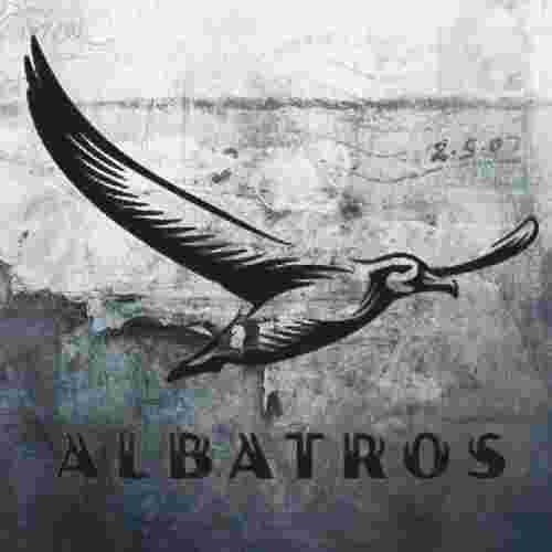 Albatros Korkuyorum (2020)