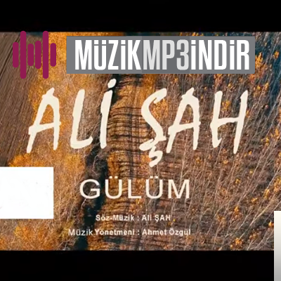 Ali Şah Gülüm (2019)