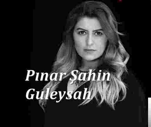 Pınar Şahin Guleyşah (2018)