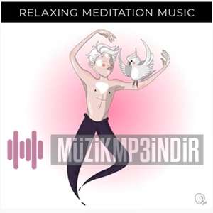 Alaattin Deniz Relaxing Meditation (2020)