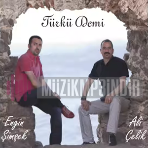 Ali Çelik Engin Şimşek Türkü Demi (2015)