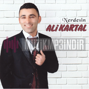 Ali Kartal Nerdesin (2018)