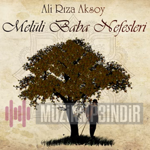 Ali Rıza Aksoy Melüli Baba Nefesleri (2017)