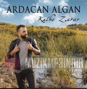 Ardacan Algan Kalbe Zarar (2017)