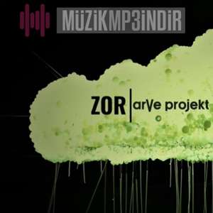 ArVe Projekt Zor (2022)