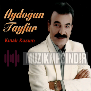 Aydoğan Tayfur Kınalı Kuzum (2023)