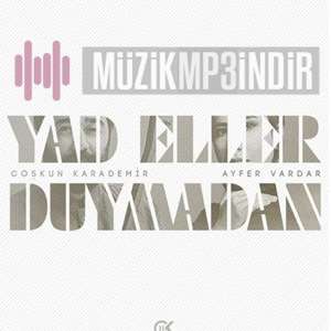 Ayfer Vardar Yad Eller Duymadan (2022)