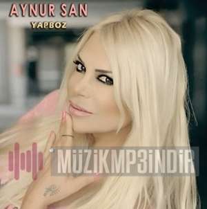 Aynur San Yapboz (2022)