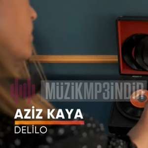 Aziz Kaya Delilo (2022)