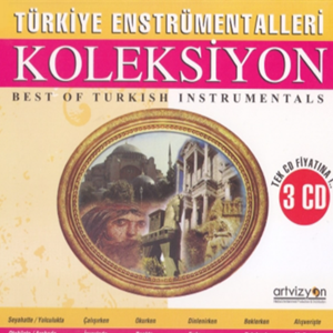 Türkiye Enstrümentalleri Koleksiyon (2020)