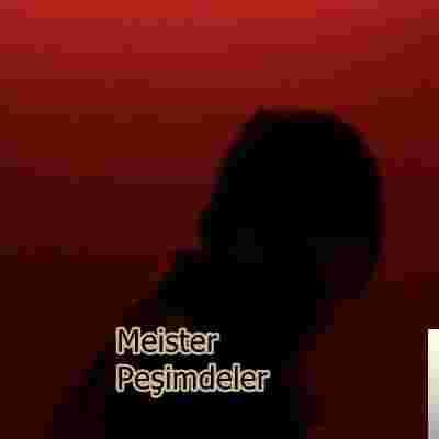Meister Peşimdeler (2019)