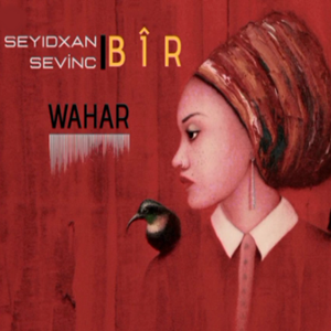 Seyidxan Sevinç Wahar (2020)