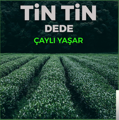 Çaylı Yaşar Tin Tin Dede (2019)