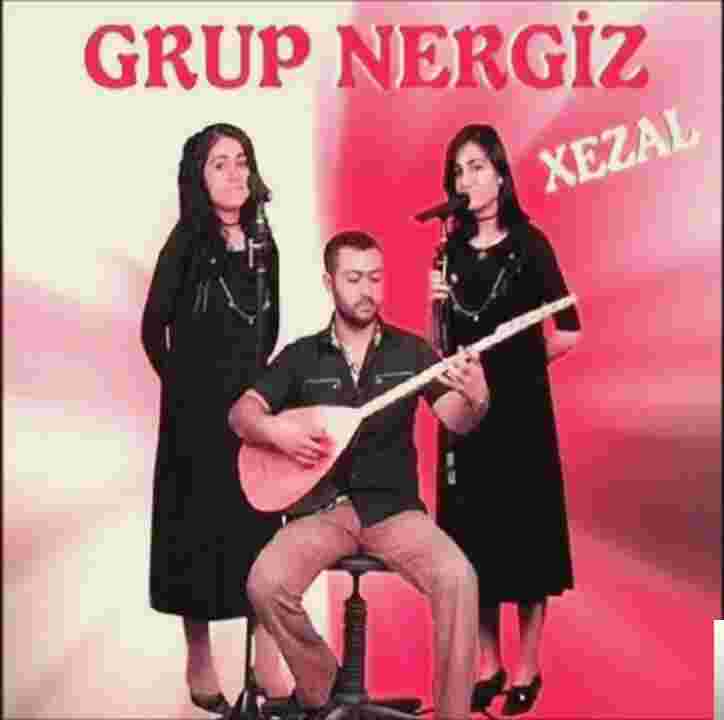 Grup Nergiz Xezal (2010)