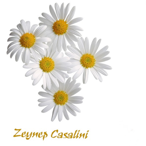 Zeynep Casalini Papatya (2010)