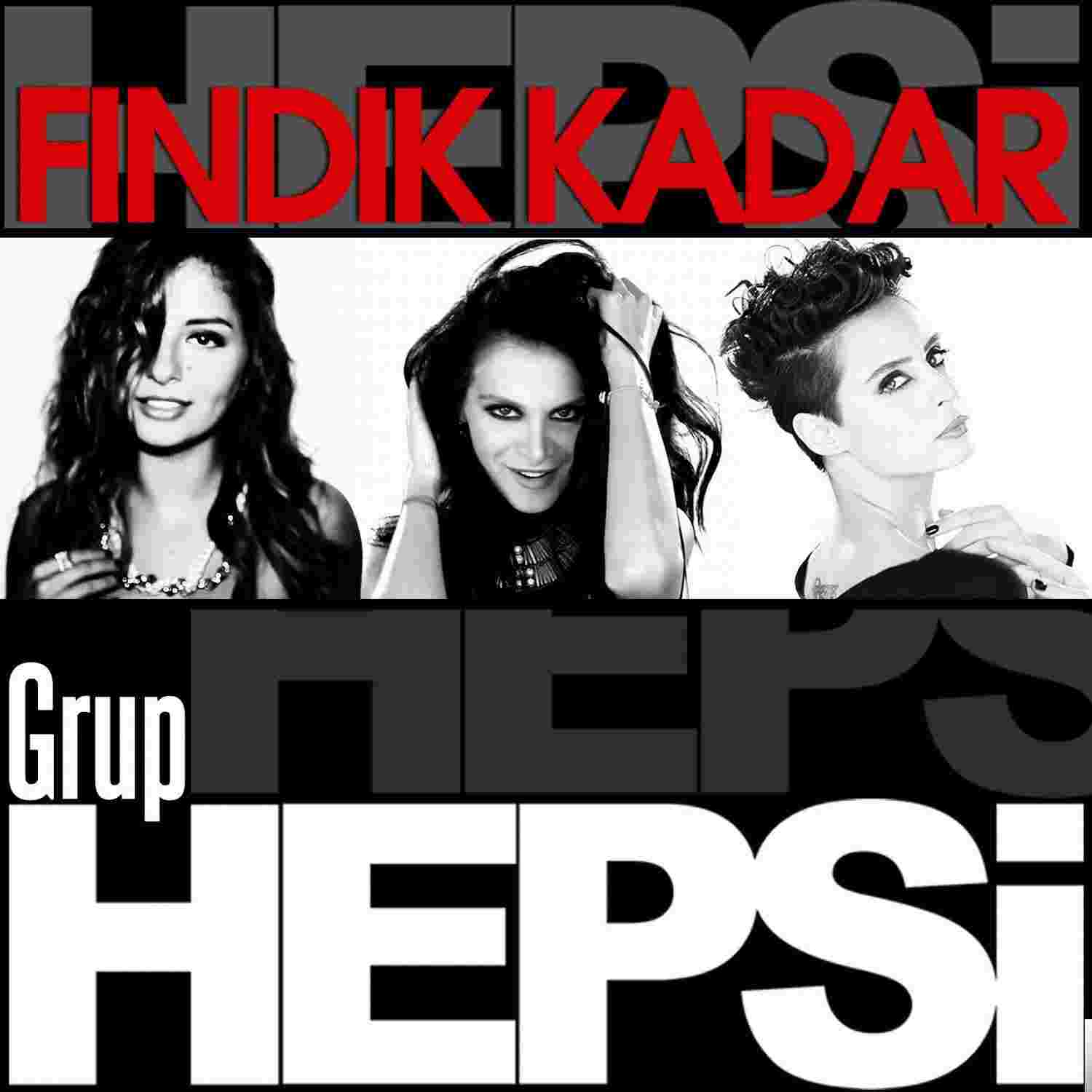 Grup Hepsi Fındık Kadar (2011)