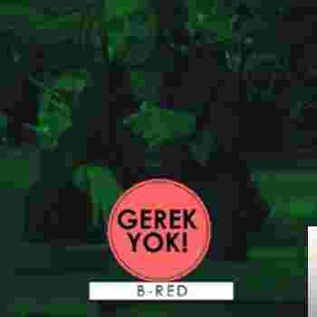 B Red Gerek Yok (2019)