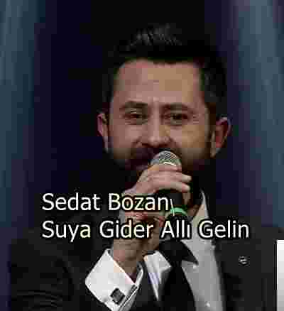 Sedat Bozan Suya Gider Allı Gelin (2019)