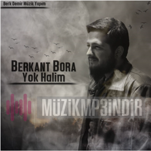 Berkant Bora Yok Halim (2016)