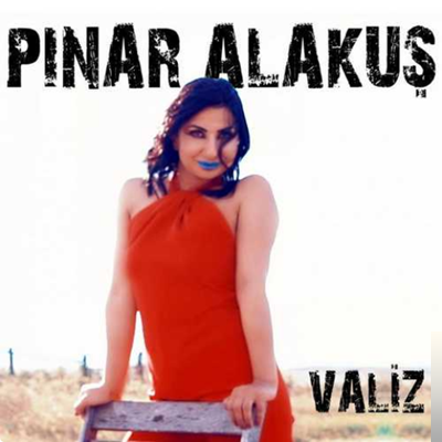 Pınar Alakuş Valiz (2019)