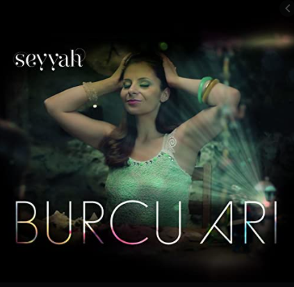 Burcu Arı Seyyah (2013)