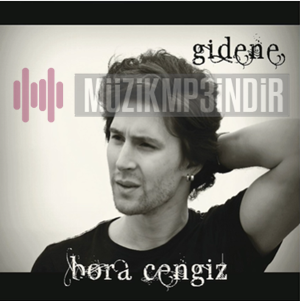 Bora Cengiz Gidene (2014)