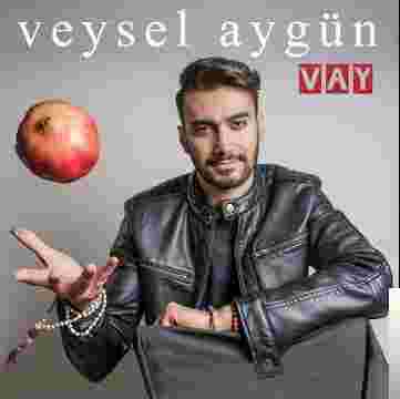 Veysel Aygün Vay (2019)