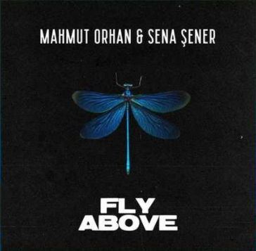 Mahmut Orhan Fly Above (2021)