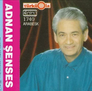 Adnan Şenses Senin Olmaya Geldim (1995)