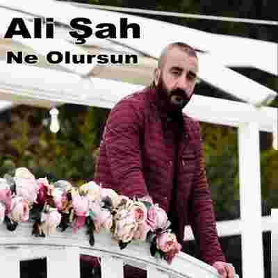 Ali Şah Ne Olursun (2020)