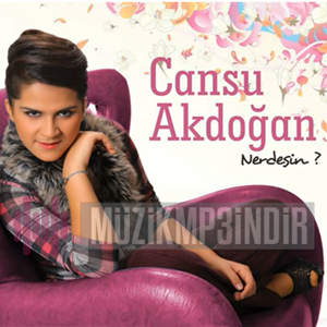 Cansu Akdoğan Nerdesin (2016)