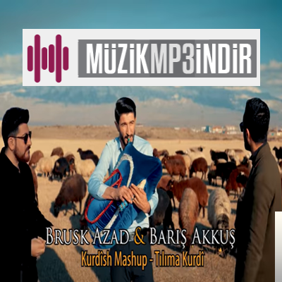 Brusk Azad Tılıma Kurdi (2019)