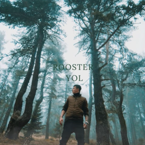 Rooster Yol (2020)