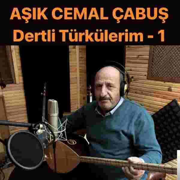 Aşık Cemal Çabuş Dertli Türkülerim (2018)