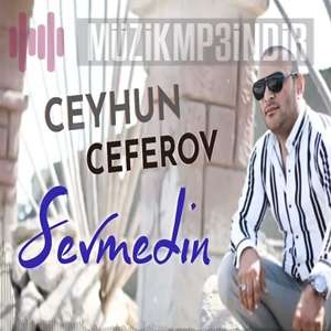 Ceyhun Ceferov Sevmedin (2023)