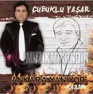 Çubuklu Yaşar Ankara Yanıyor (2008)