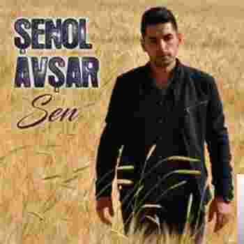 Şenol Avşar Sen (2019)