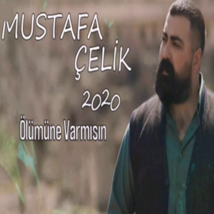Mustafa Çelik Ölümüne Varmısın (2020)