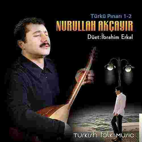 Nurullah Akçayır Türkü Pınarı 1,2 (2001)