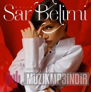 Delin Sar Belimi (2022)
