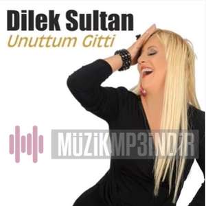 Dilek Sultan Unuttum Gitti (2022)