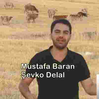 Mustafa Baran Şevko Delal (2019)