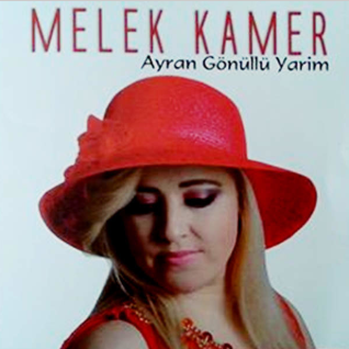 Melek Kamer Ayran Gönüllü Yarim (2016)