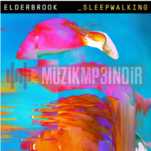 Elderbrook Sleepwalking (2019)