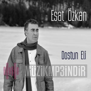 Esat Özkan Dostun Eli (2016)