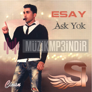 Esay Aşk Yok (2012)