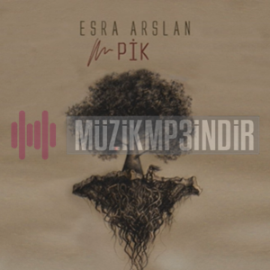 Esra Arslan PİK (2017)