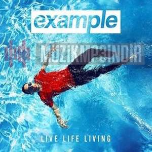 Example Live Life Living (2014)